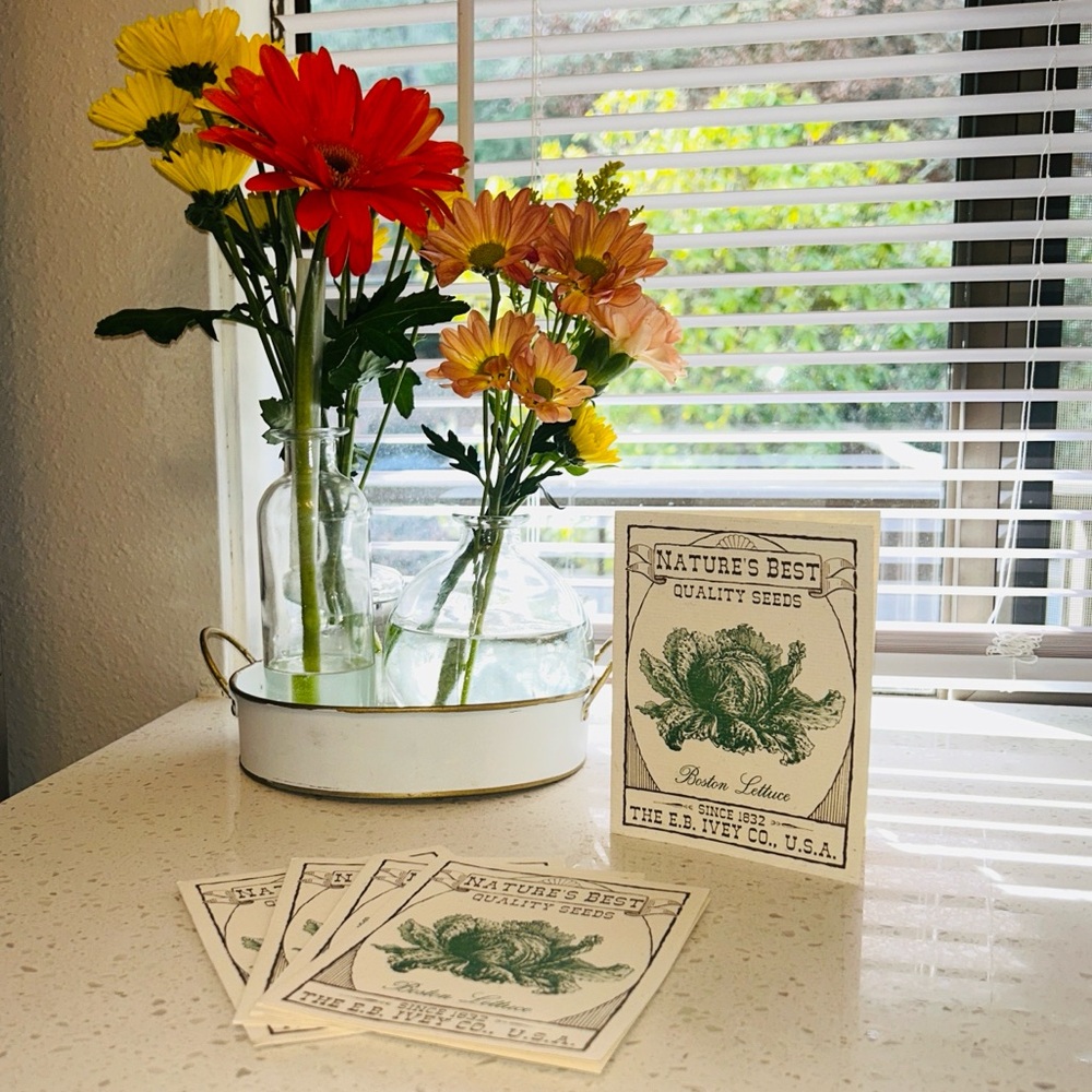 🌱 Vintage Seed Packet Blanket Cards & Envelopes Set Of 5 NWT - Picture 2 of 9